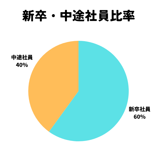 新卒・中途社員比率